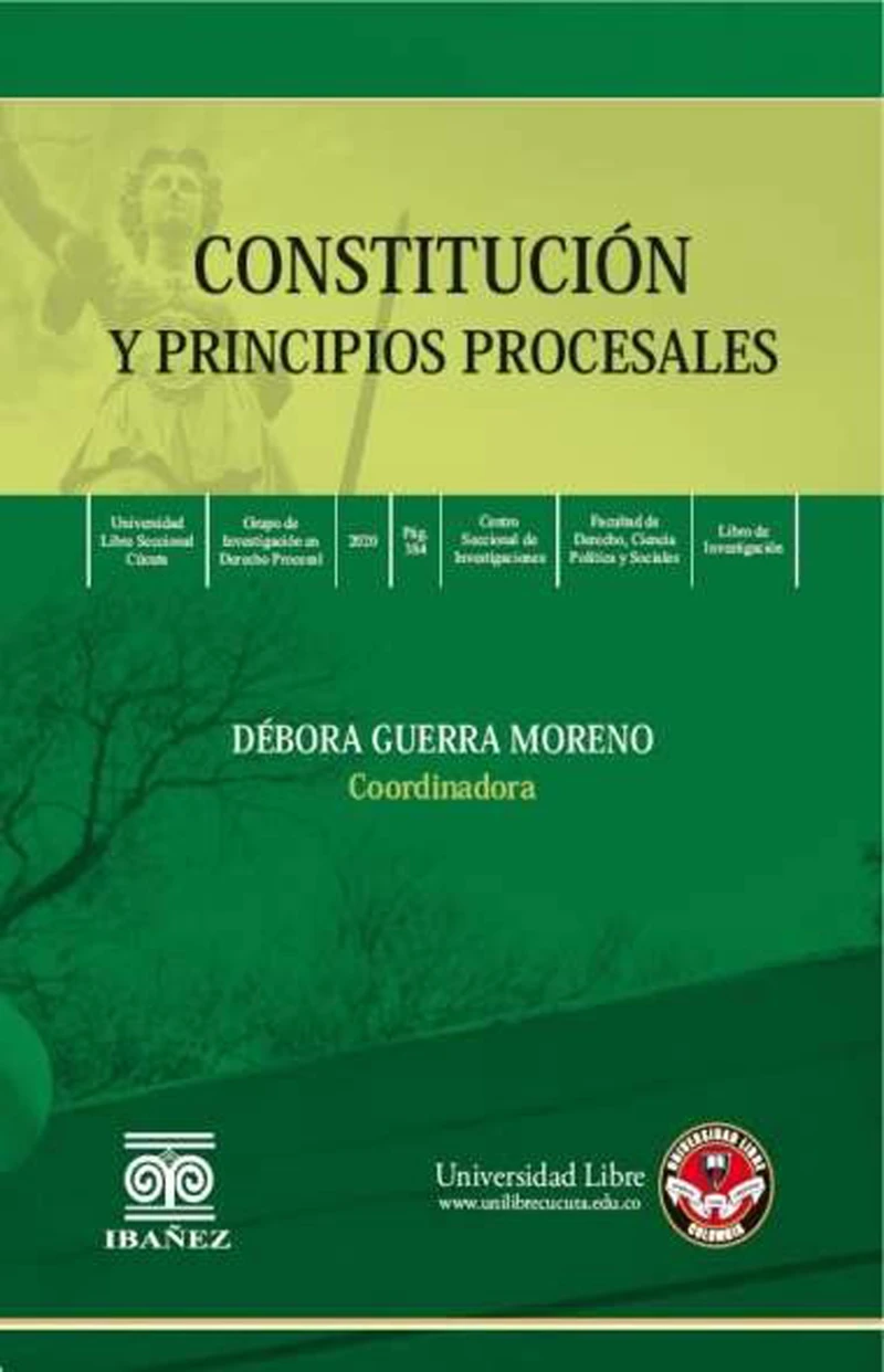 Portada: Constitución y principios procesales