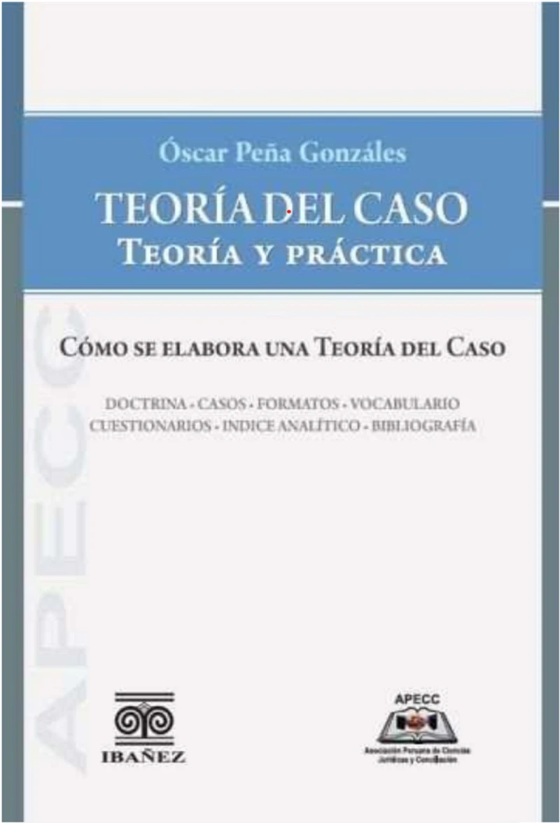 Portada: Teoría del caso. teoría y práctica