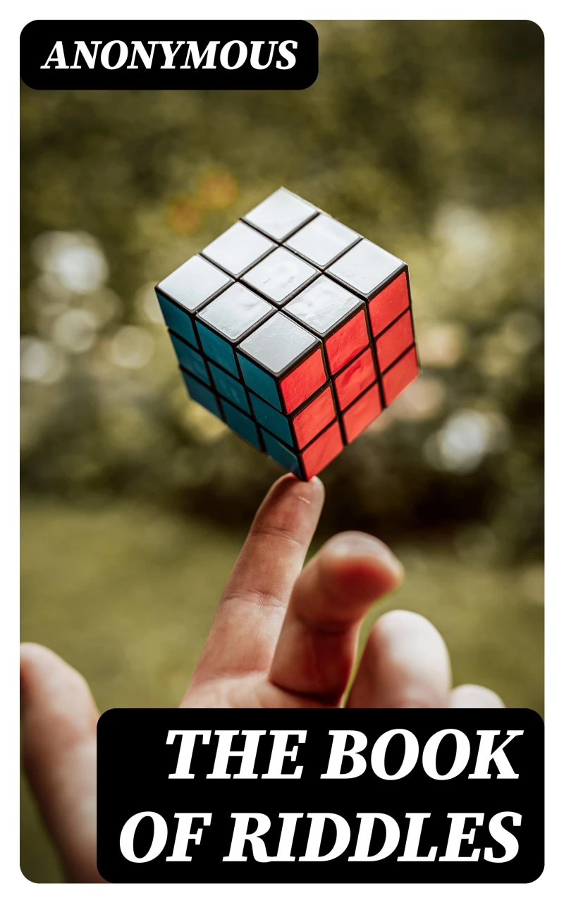 Portada: The Book of Riddles