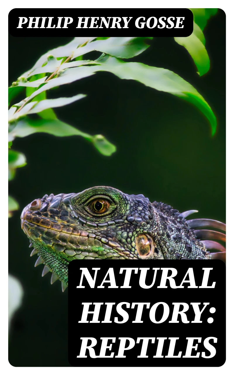 Portada: Natural History: Reptiles