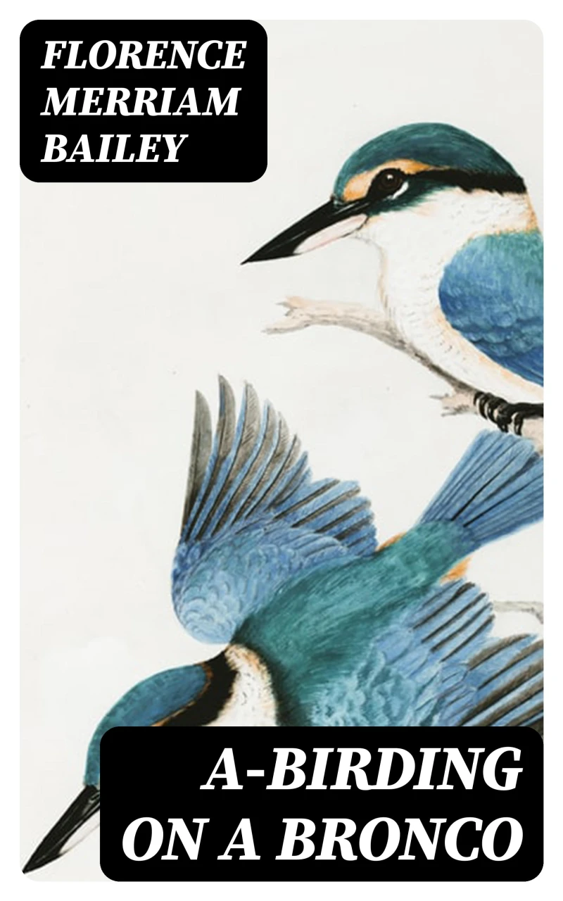 Portada: A-Birding on a Bronco