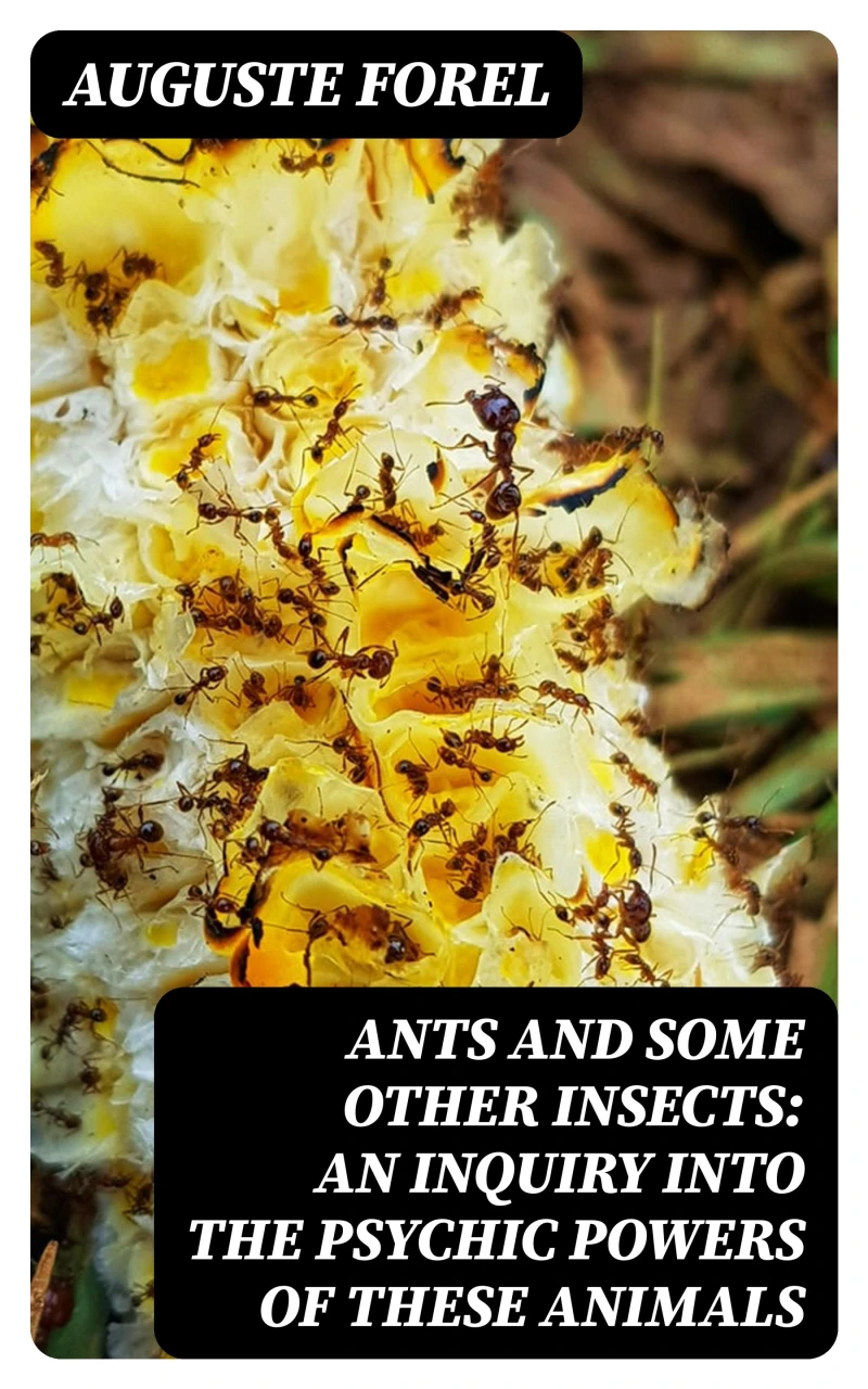 Portada: Ants and Some Other Insects: An Inquiry Into the Psychic Powers of These Animals