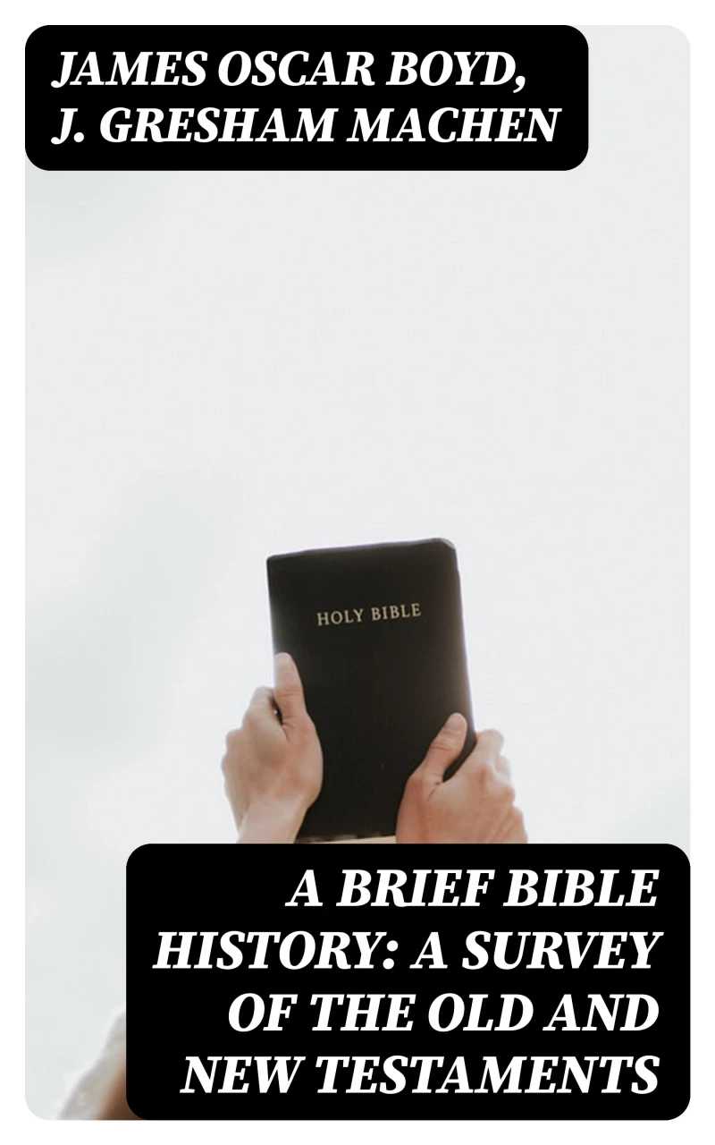 Portada: A Brief Bible History: A Survey of the Old and New Testaments