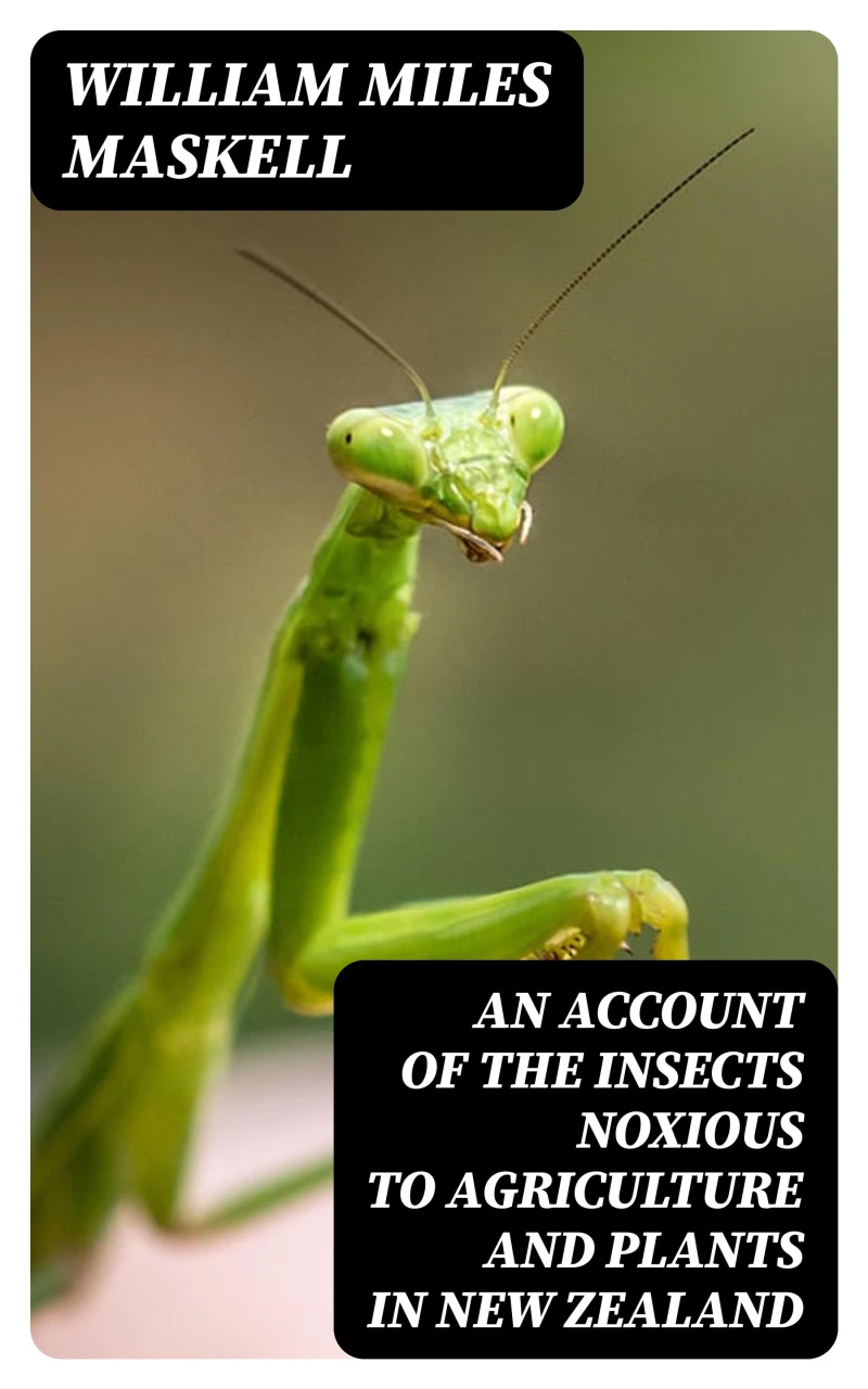 Portada: An Account of the Insects Noxious to Agriculture and Plants in New Zealand