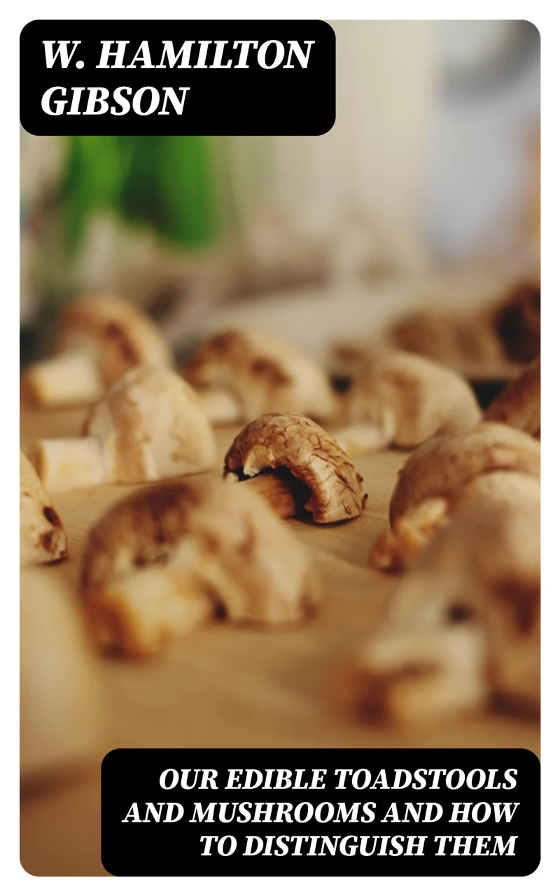 Portada: Our Edible Toadstools and Mushrooms and How to Distinguish Them
