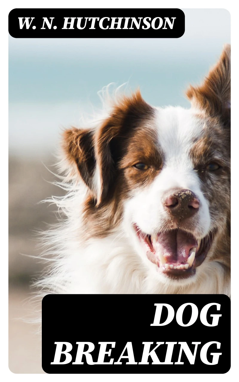 Portada: Dog Breaking