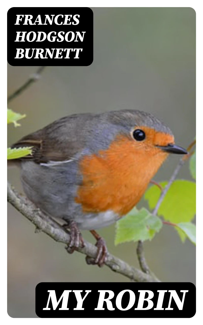 Portada: My Robin