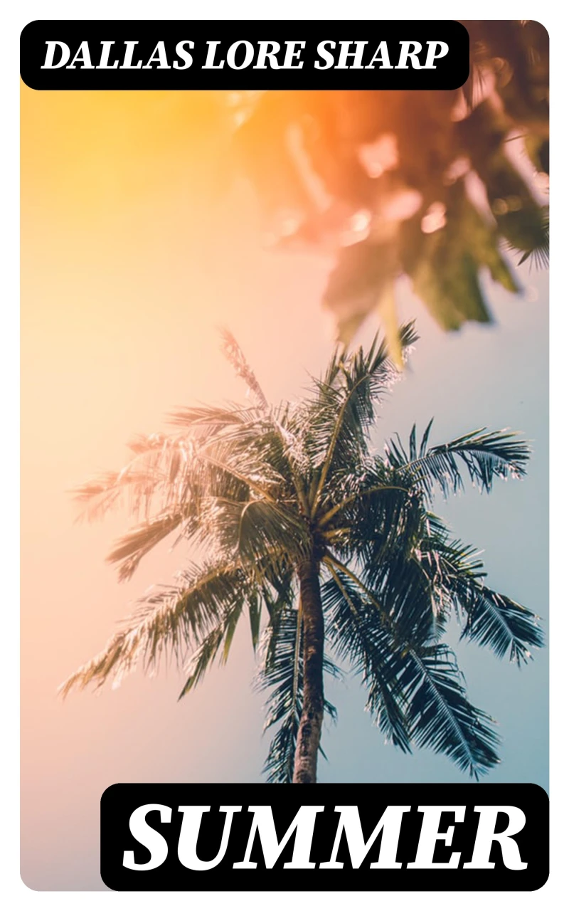 Portada: Summer