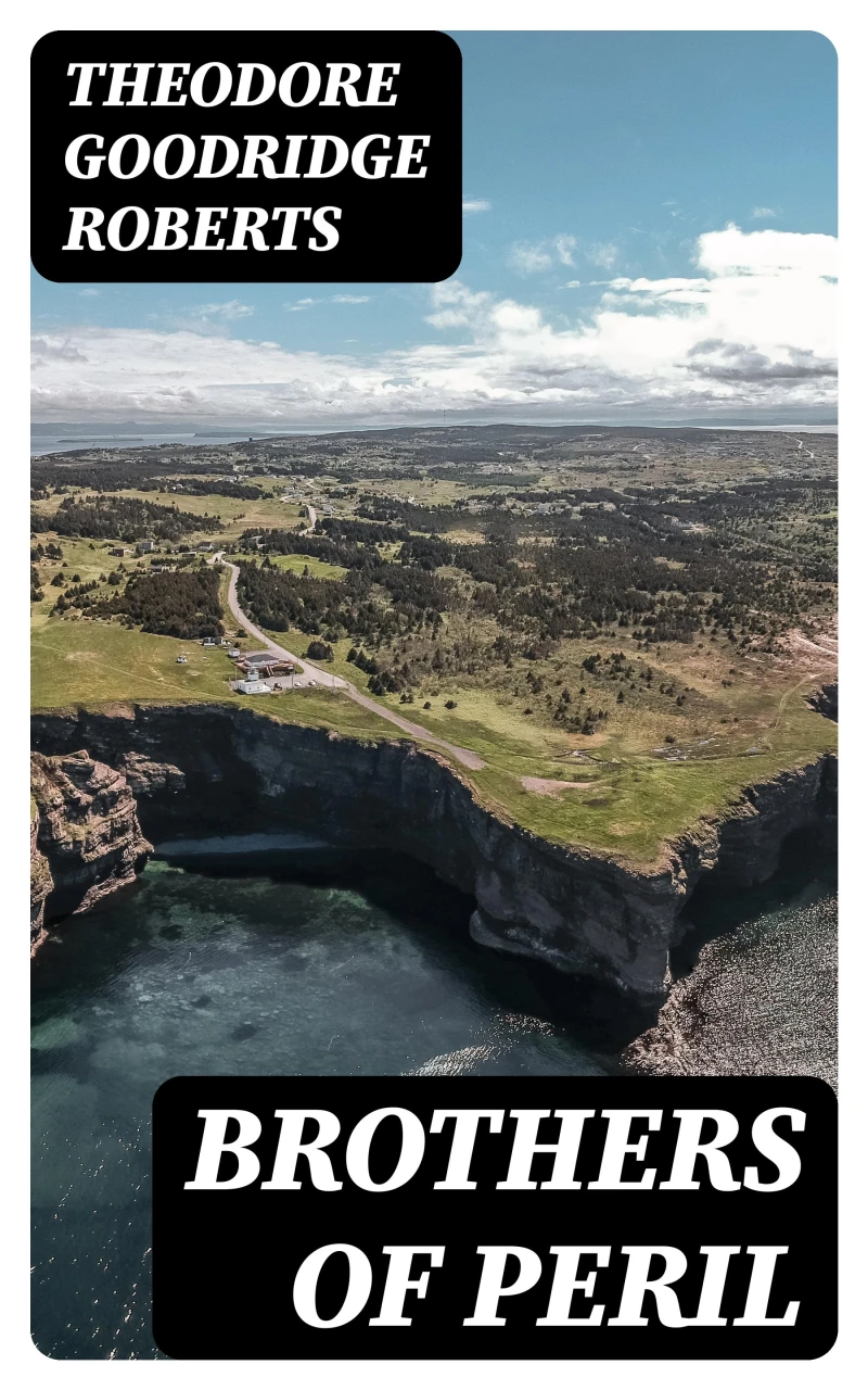 Portada: Brothers of Peril