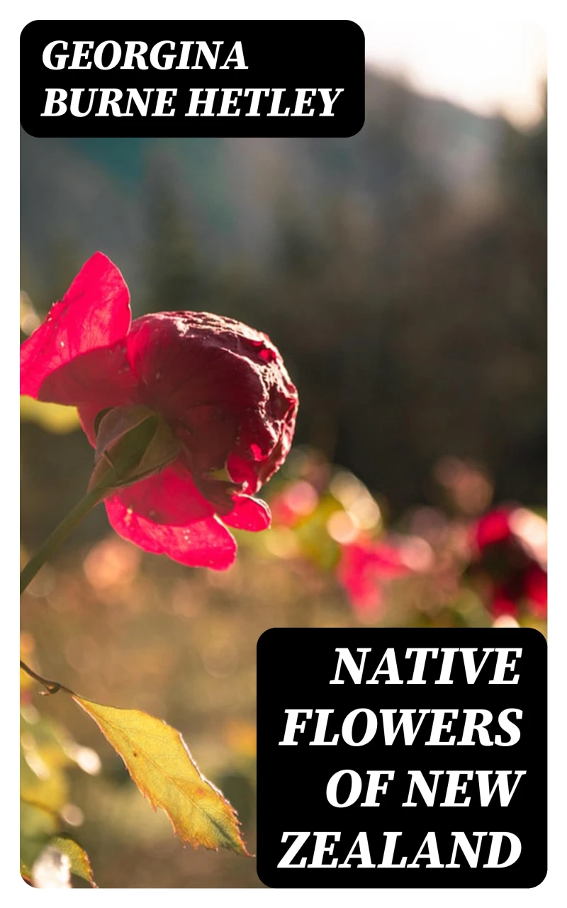 Portada: Native Flowers of New Zealand