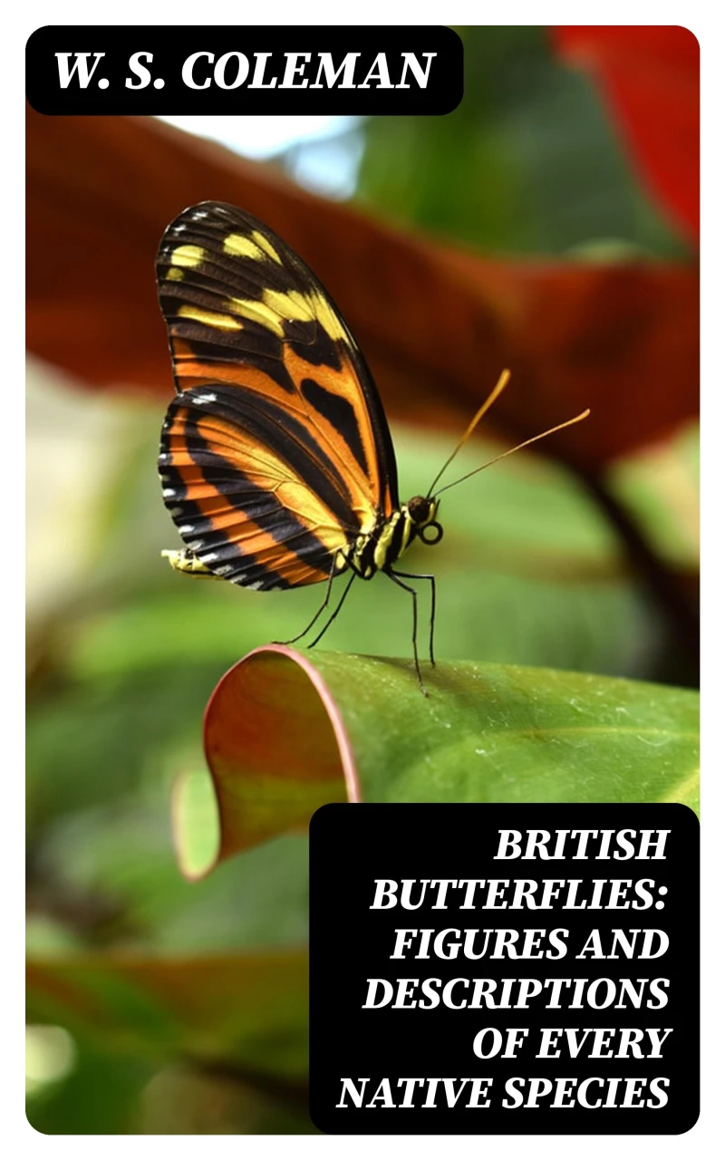 Portada: British Butterflies: Figures and Descriptions of Every Native Species