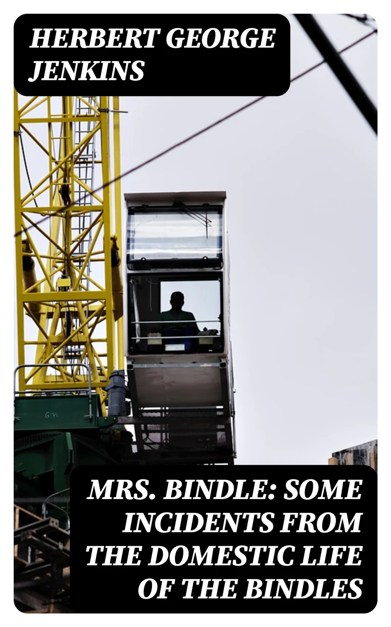Portada: Mrs. Bindle: Some Incidents from the Domestic Life of the Bindles