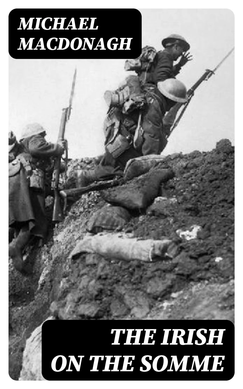 Portada: The Irish on the Somme