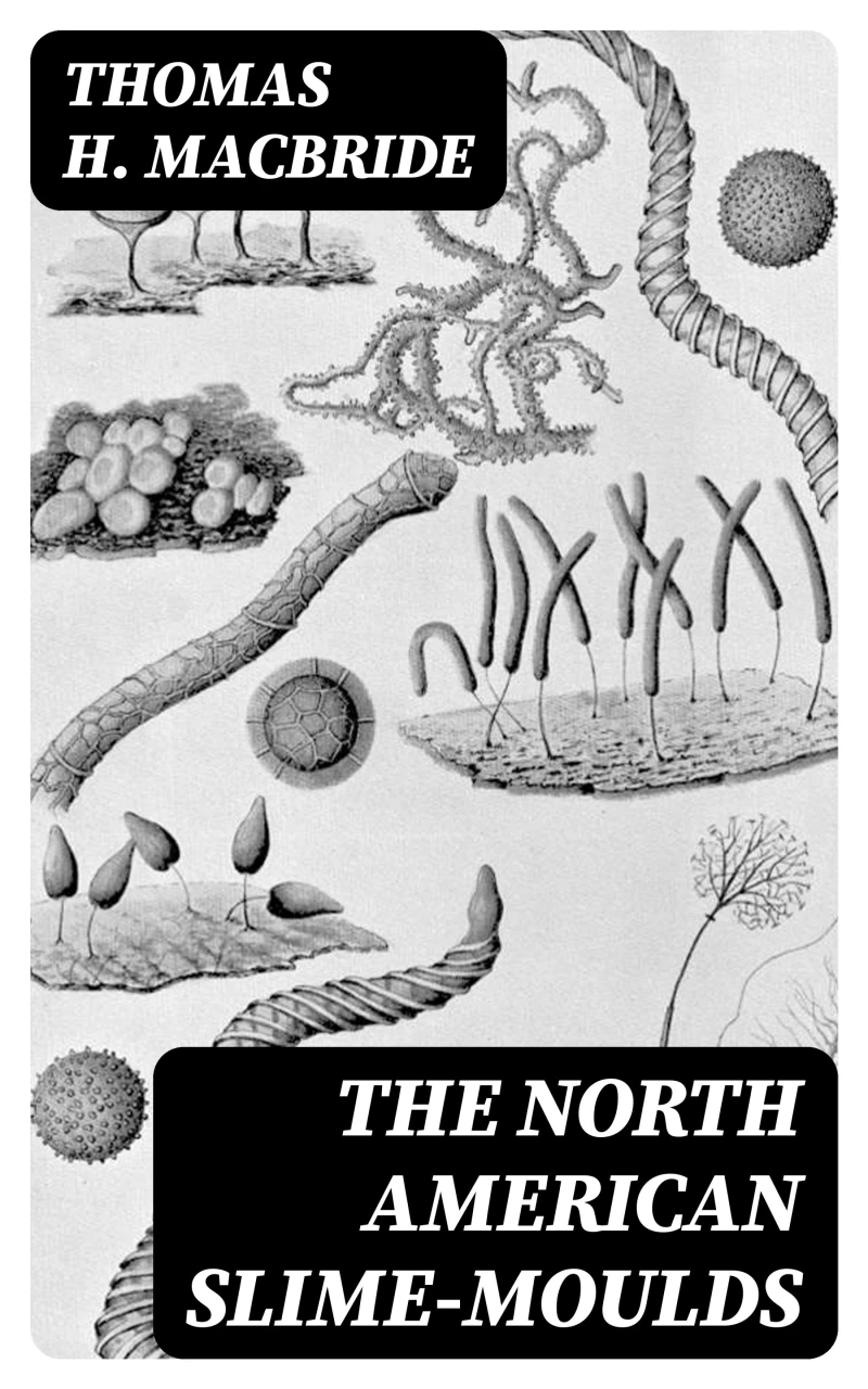 Portada: The North American Slime-Moulds