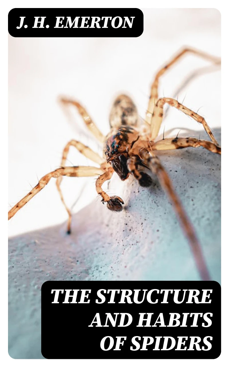Portada: The Structure and Habits of Spiders