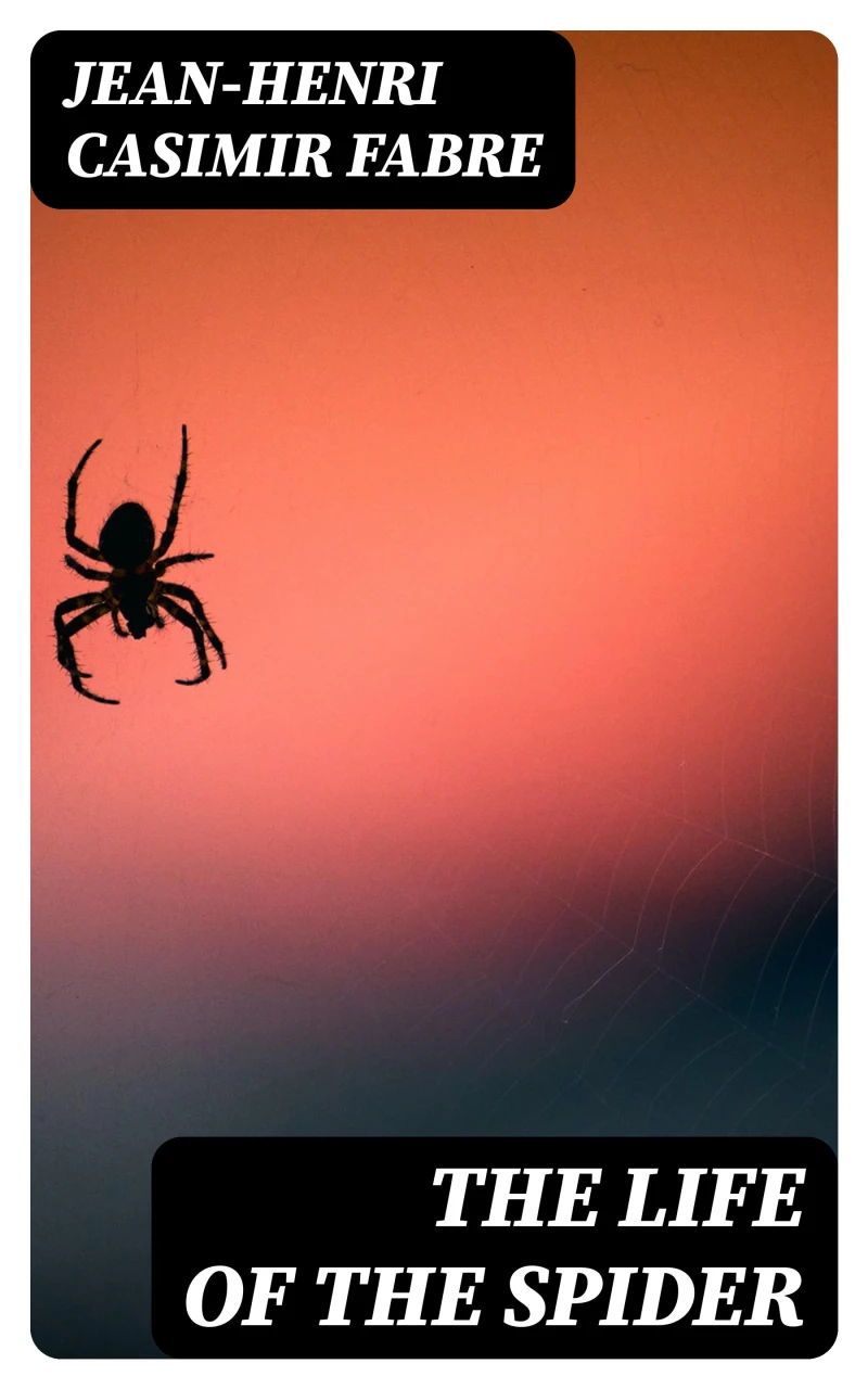 Portada: The Life of the Spider