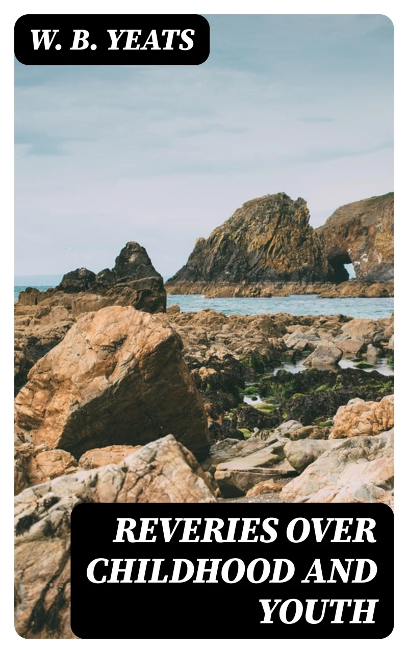 Portada: Reveries over Childhood and Youth