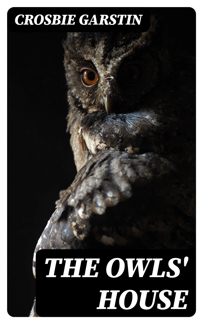 Portada: The Owls' House