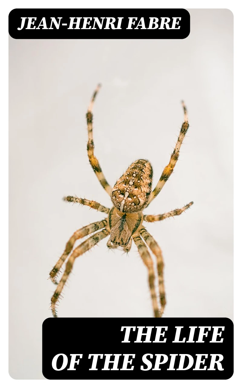 Portada: The Life of the Spider