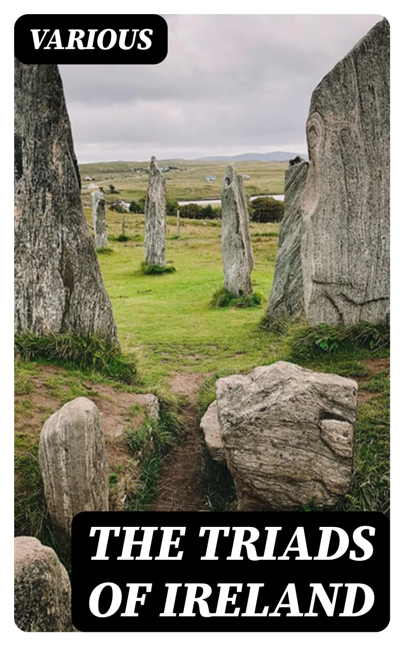 Portada: The Triads of Ireland