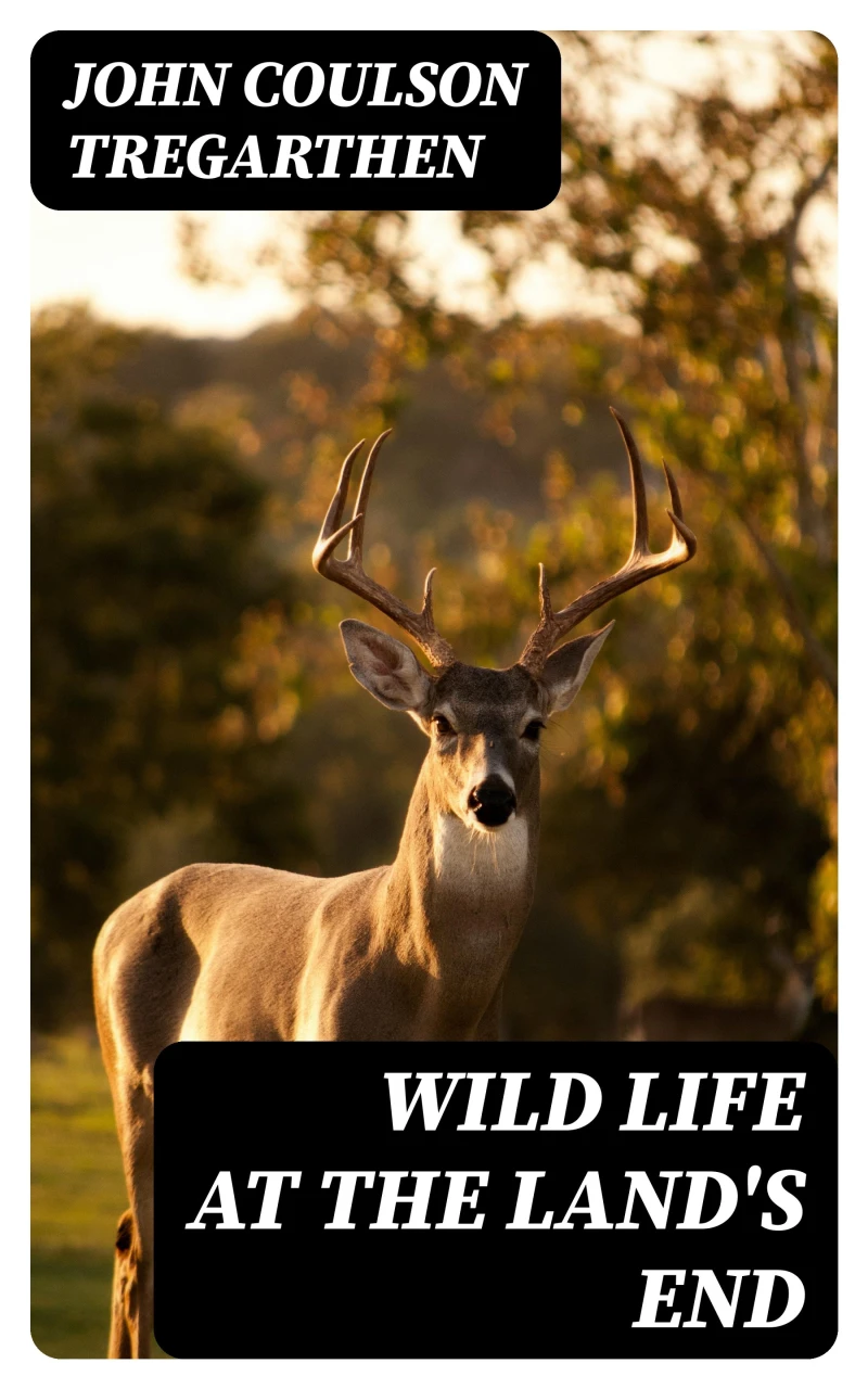 Portada: Wild Life at the Land's End