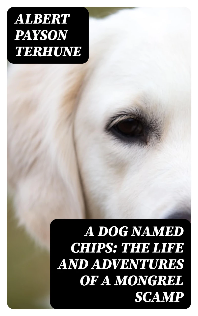 Portada: A Dog Named Chips: The Life and Adventures of a Mongrel Scamp