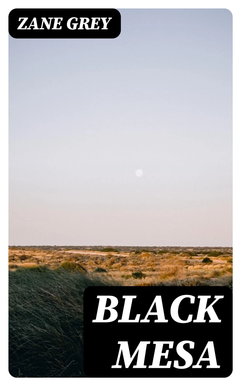 Portada: Black Mesa