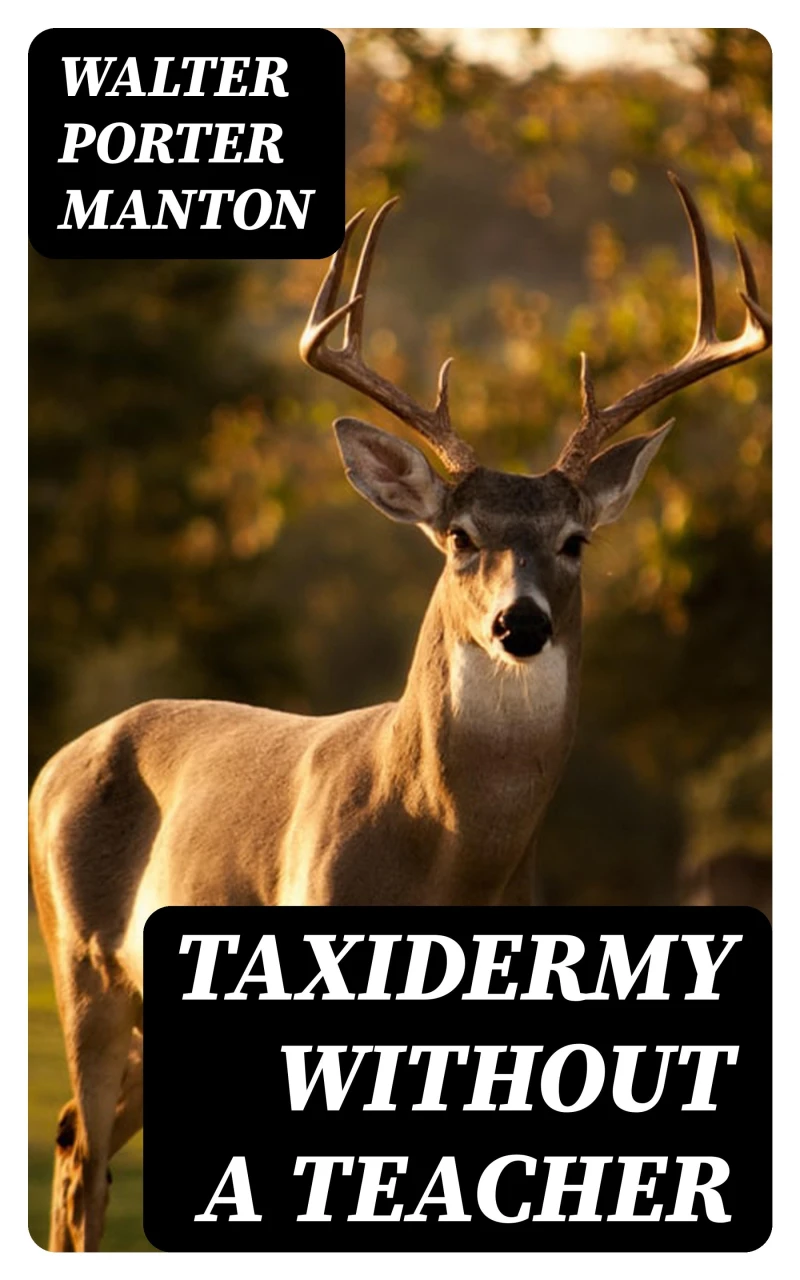 Portada: Taxidermy without a Teacher