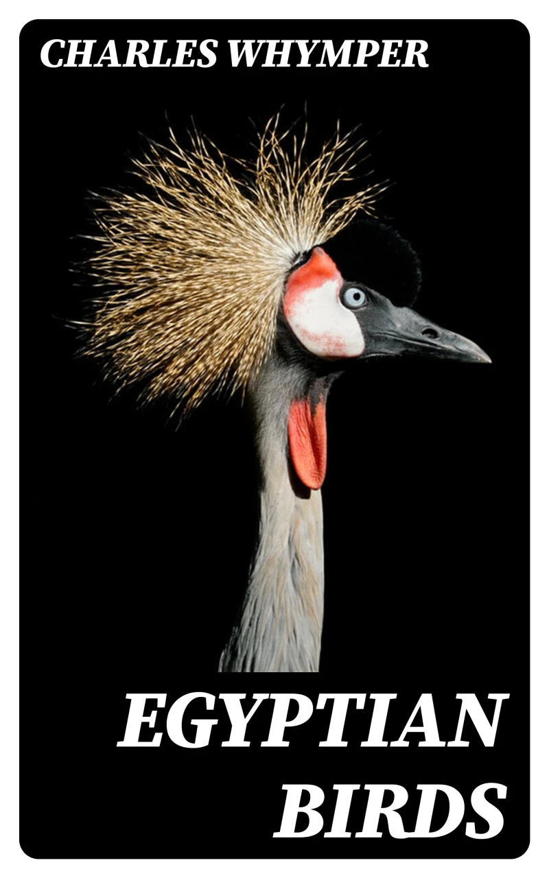 Portada: Egyptian Birds