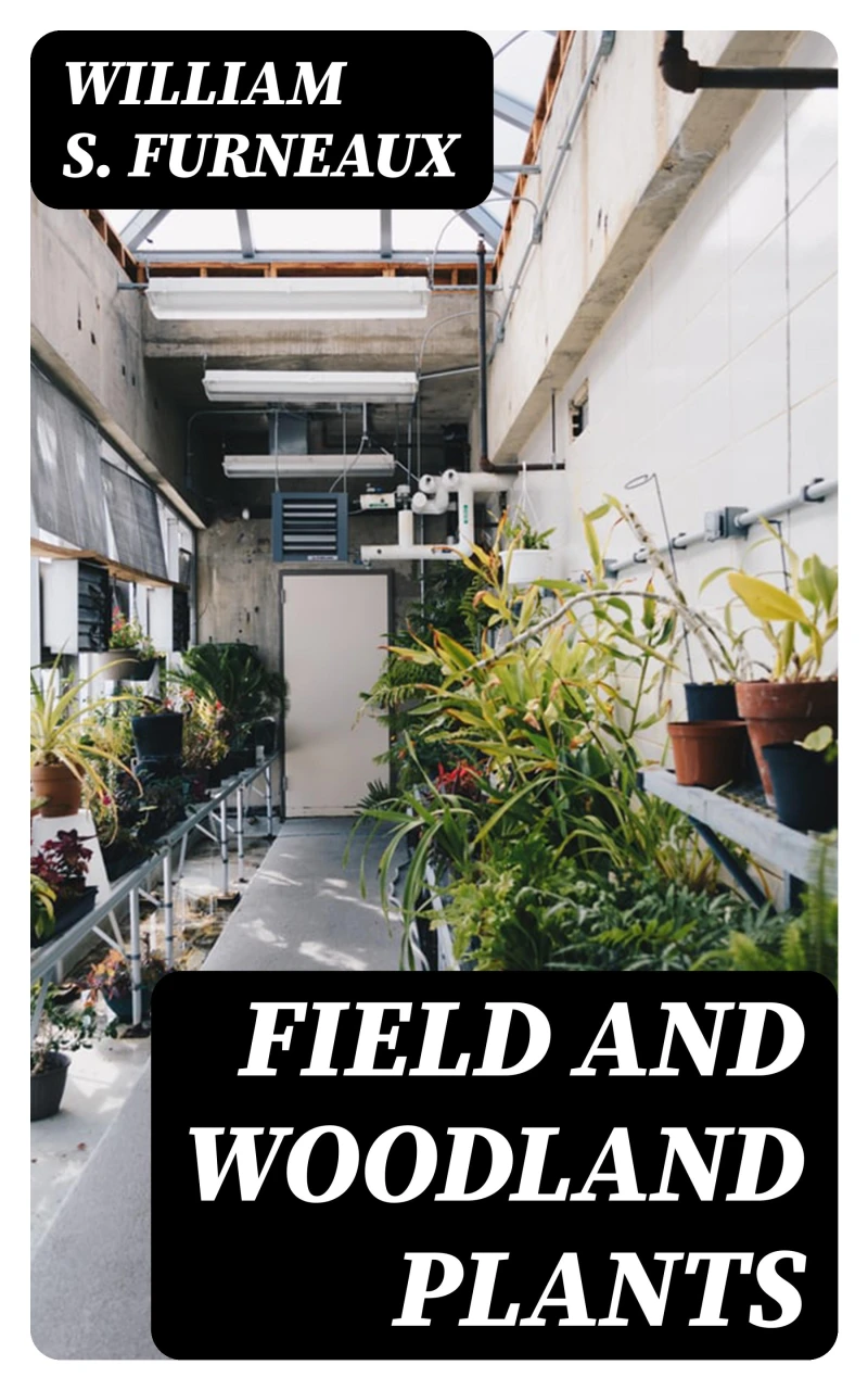 Portada: Field and Woodland Plants