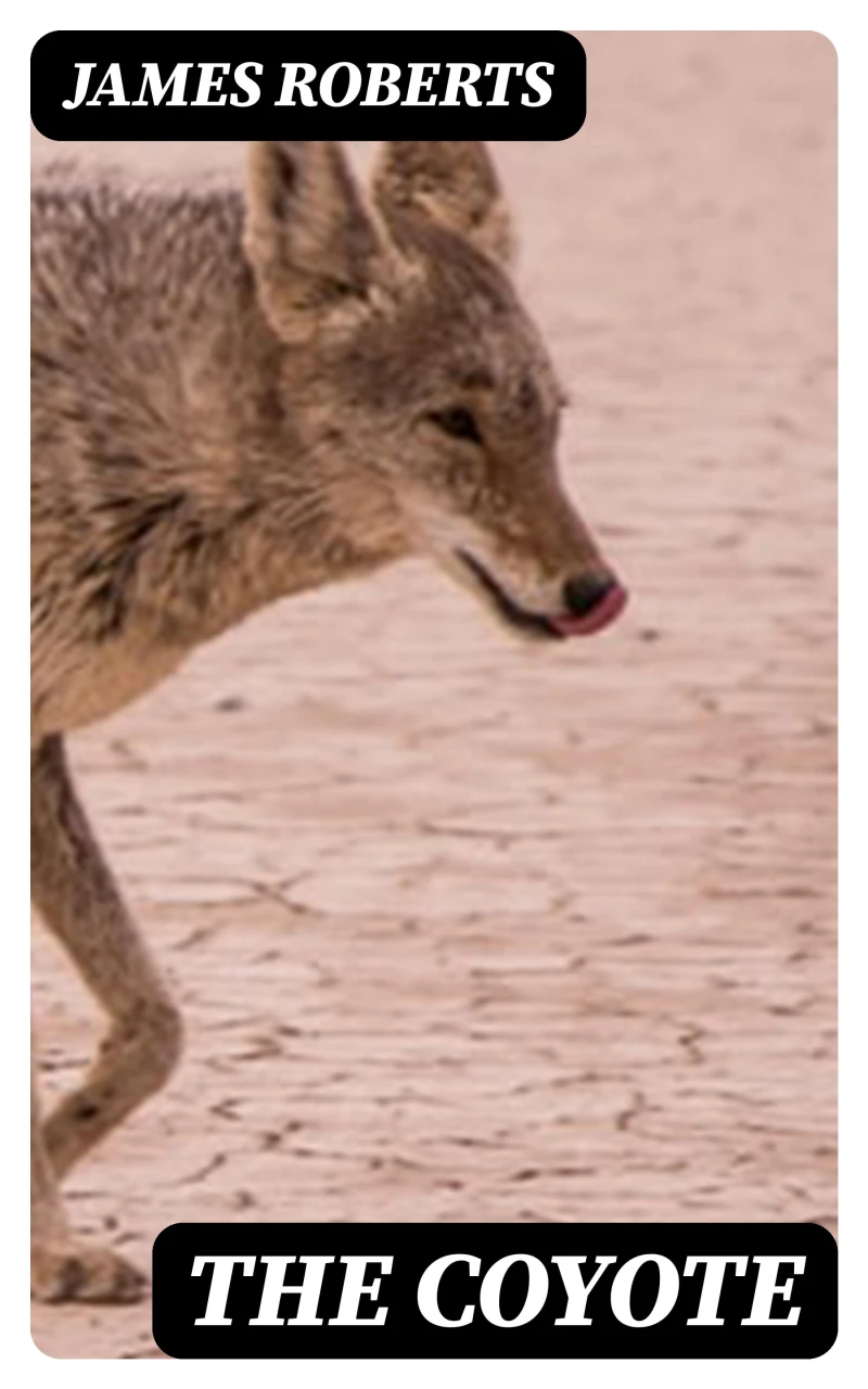 Portada: The Coyote