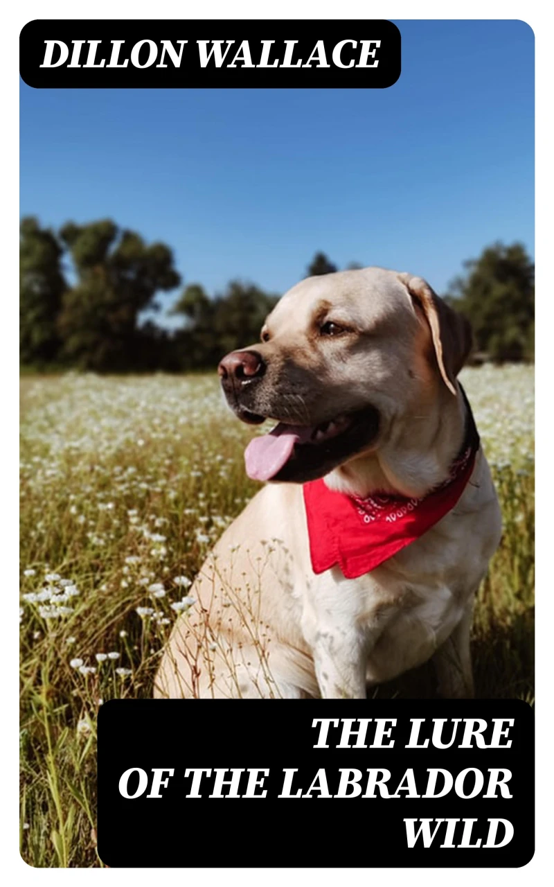 Portada: The Lure of the Labrador Wild
