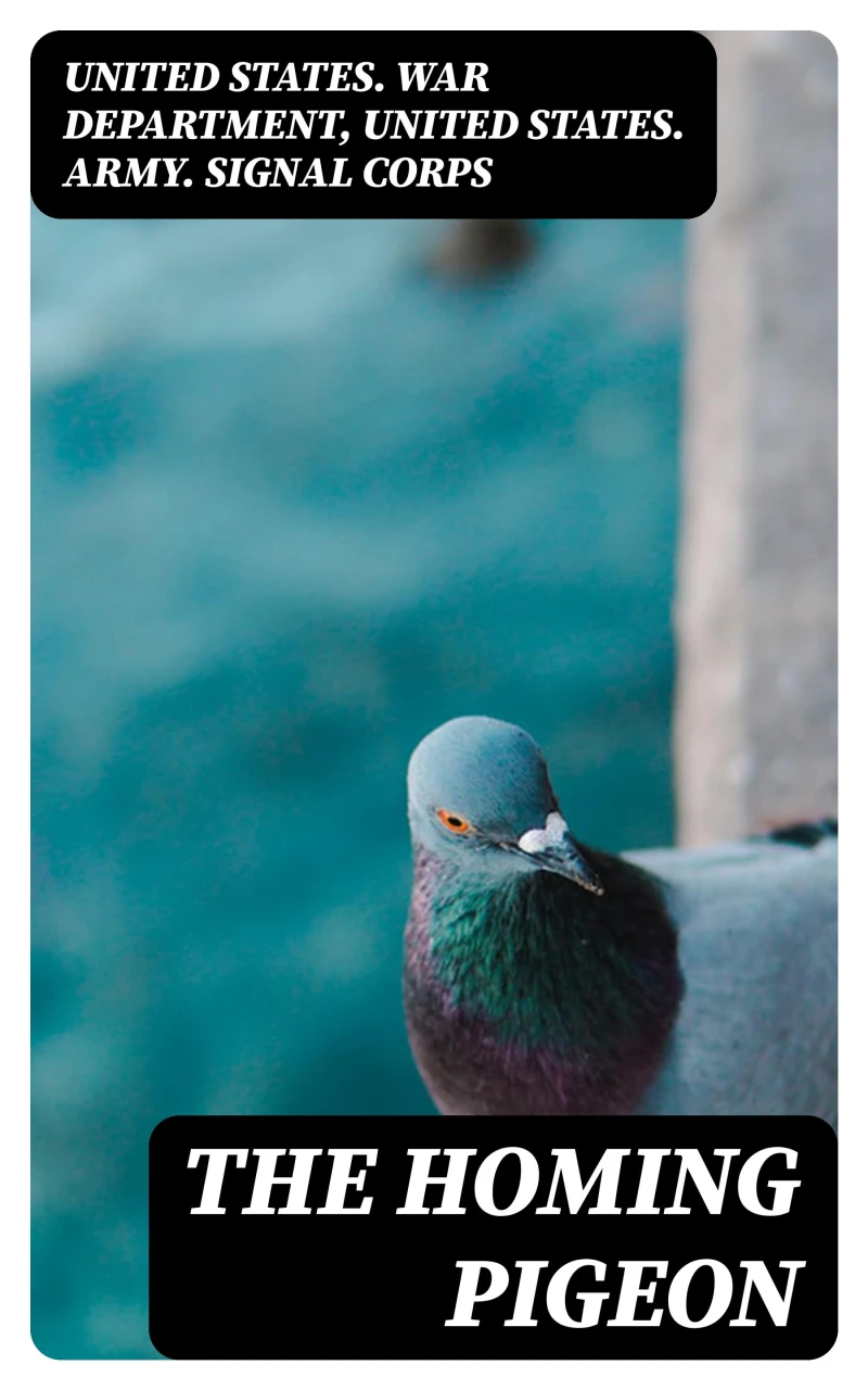 Portada: The Homing Pigeon