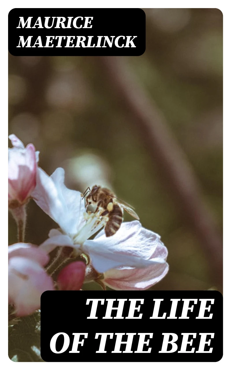 Portada: The Life of the Bee