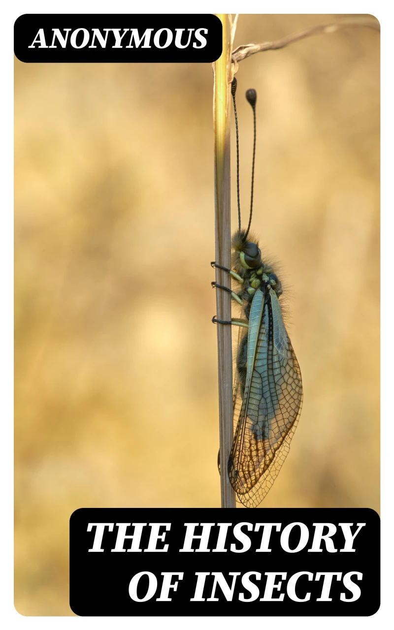 Portada: The History of Insects