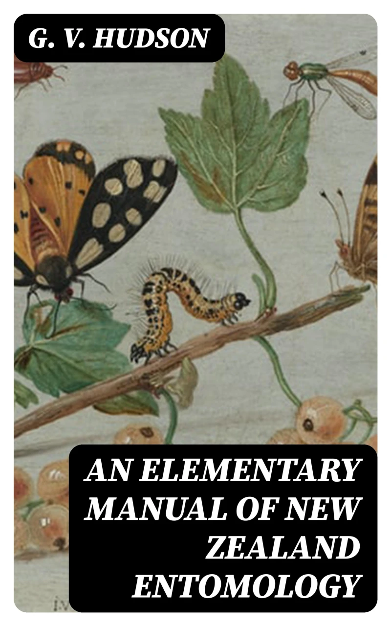 Portada: An Elementary Manual of New Zealand Entomology