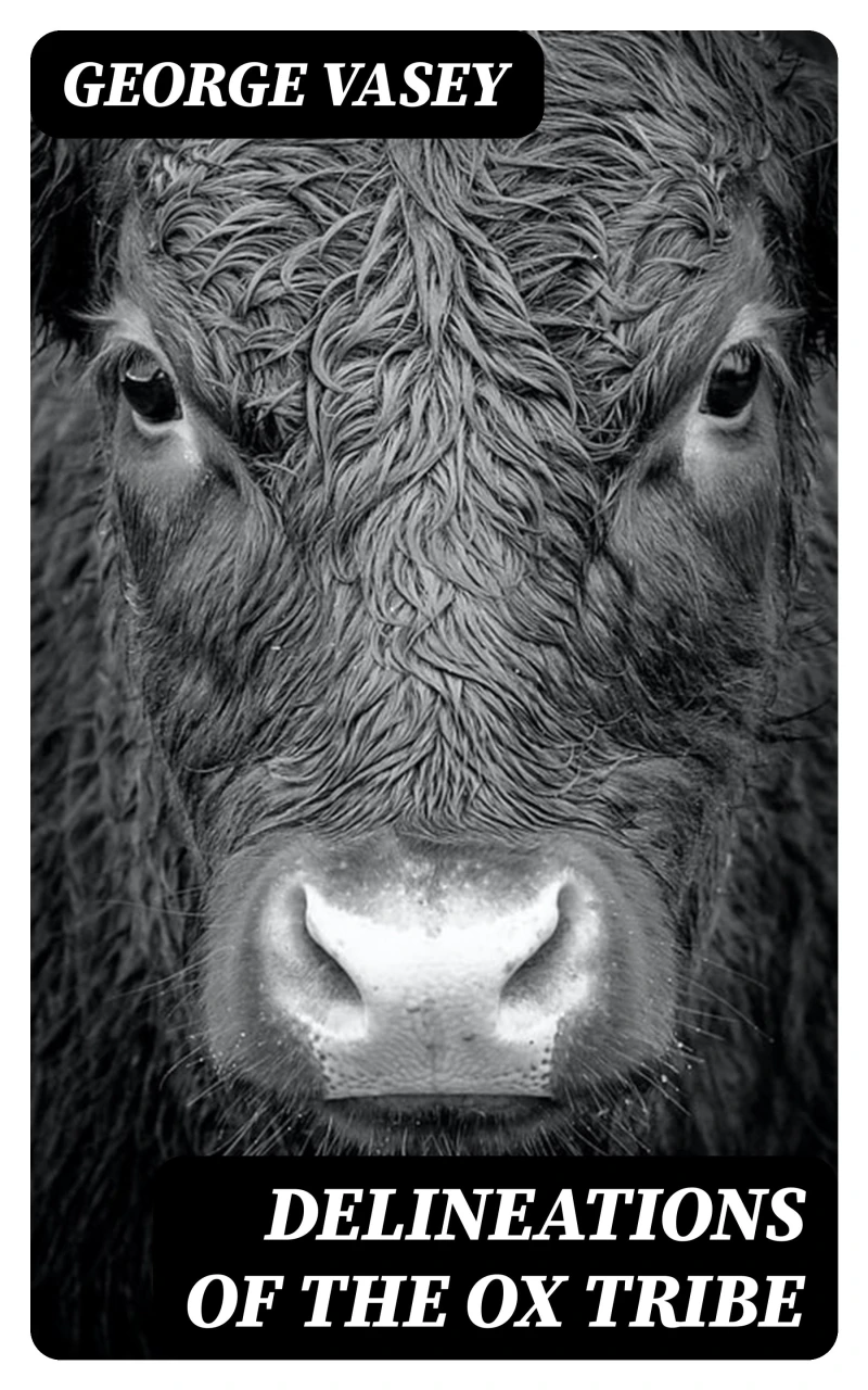 Portada: Delineations of the Ox Tribe