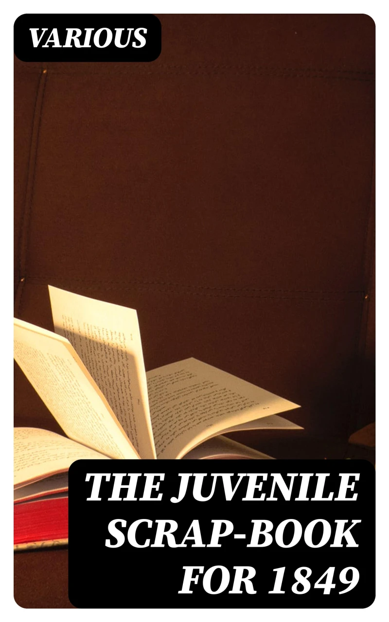 Portada: The Juvenile Scrap-book for 1849