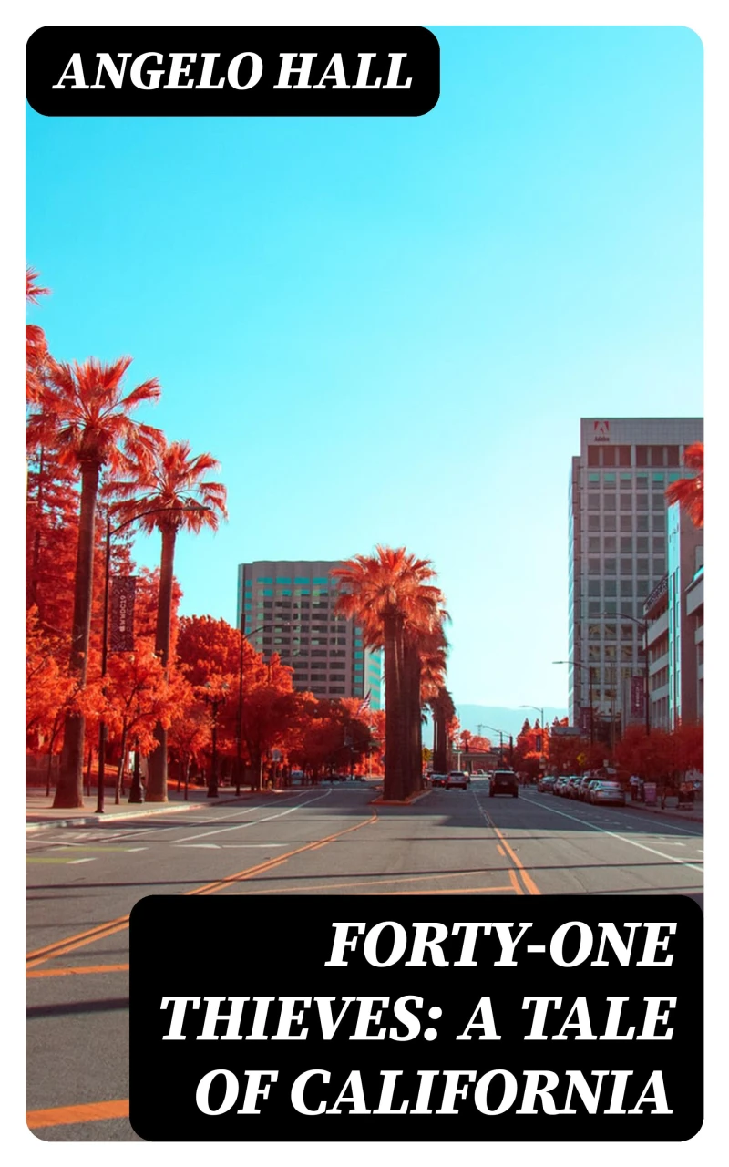 Portada: Forty-one Thieves: A Tale of California