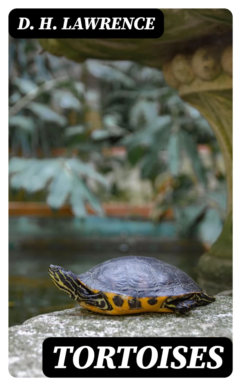 Portada: Tortoises