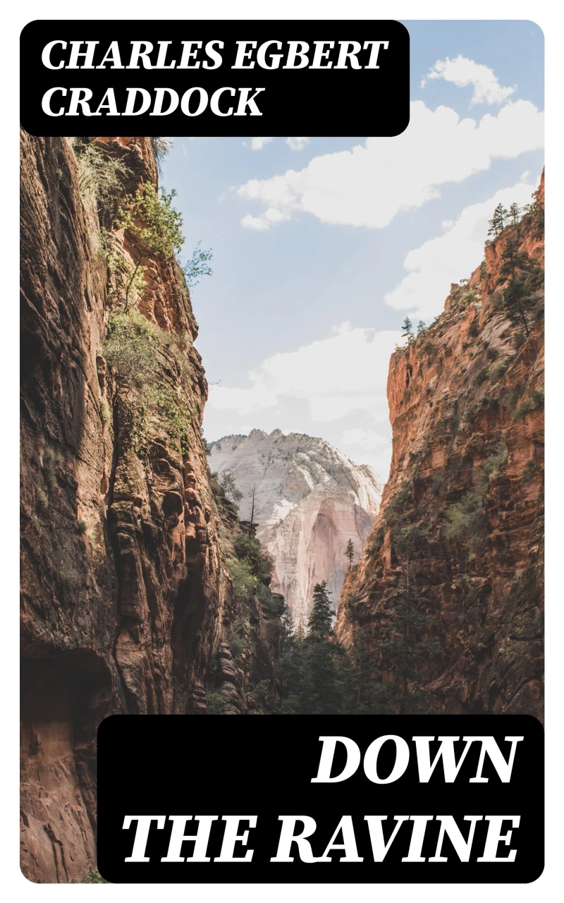 Portada: Down the Ravine