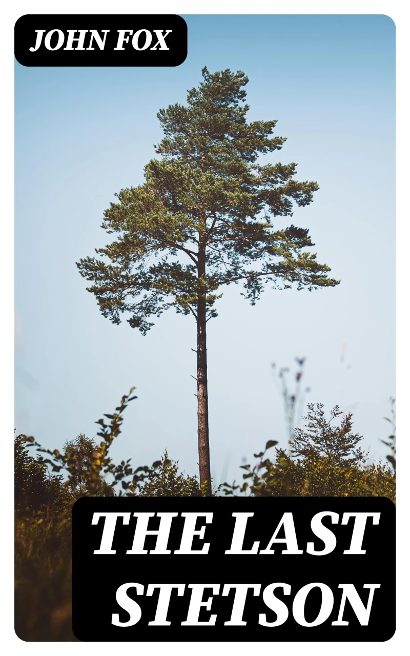 Portada: The Last Stetson