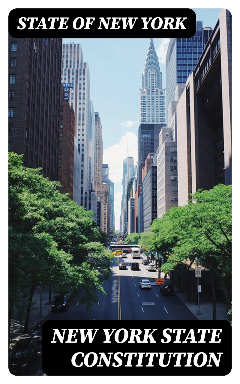 Portada: New York State Constitution