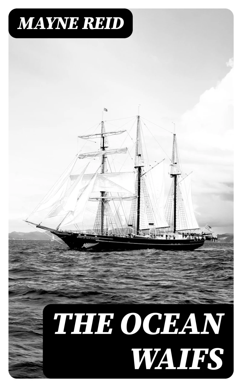 Portada: The Ocean Waifs