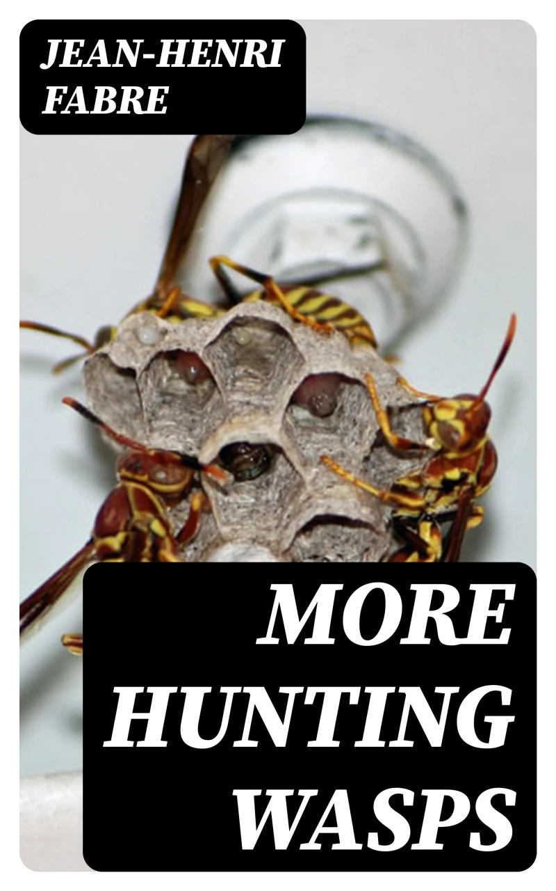 Portada: More Hunting Wasps