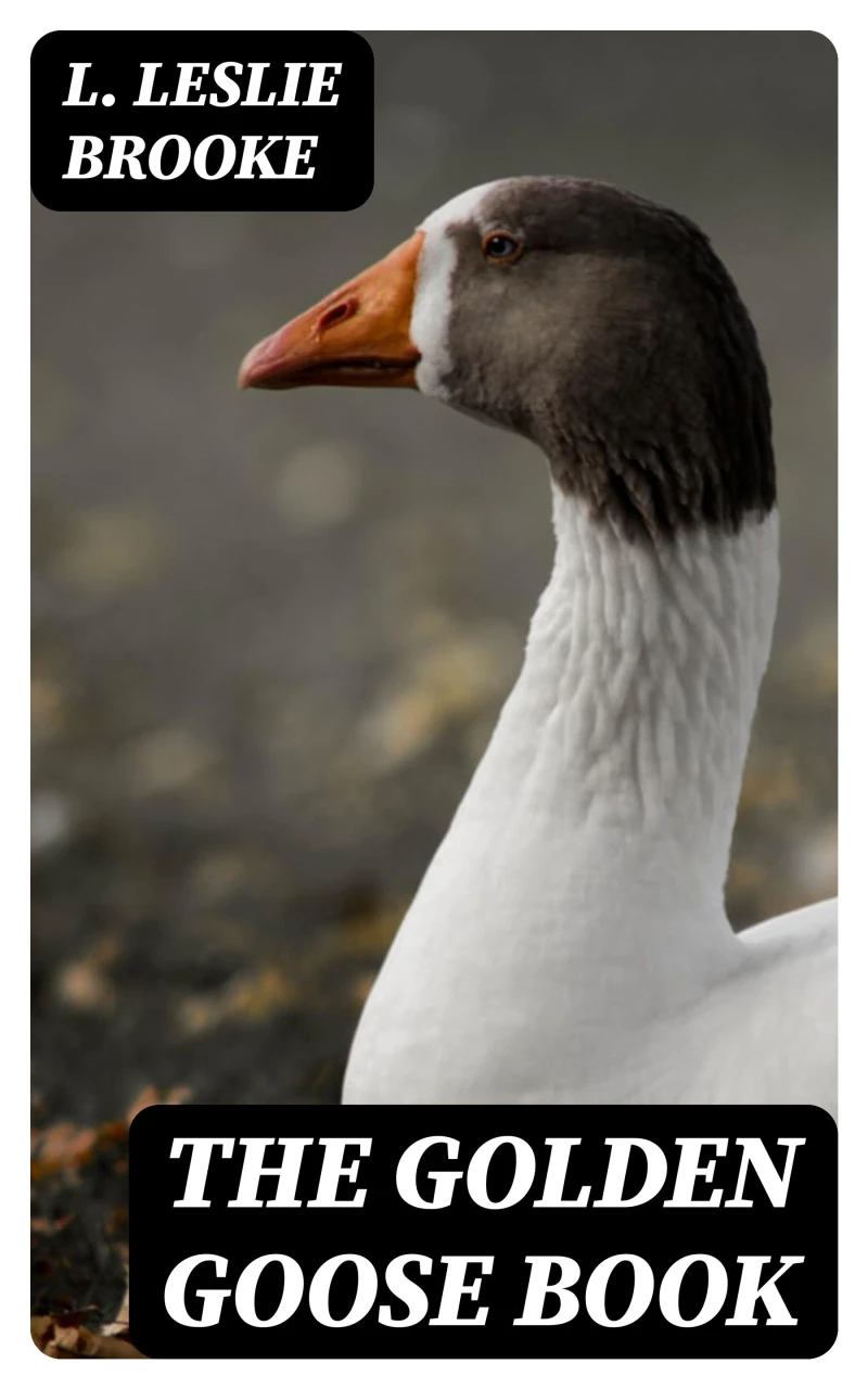 Portada: The Golden Goose Book