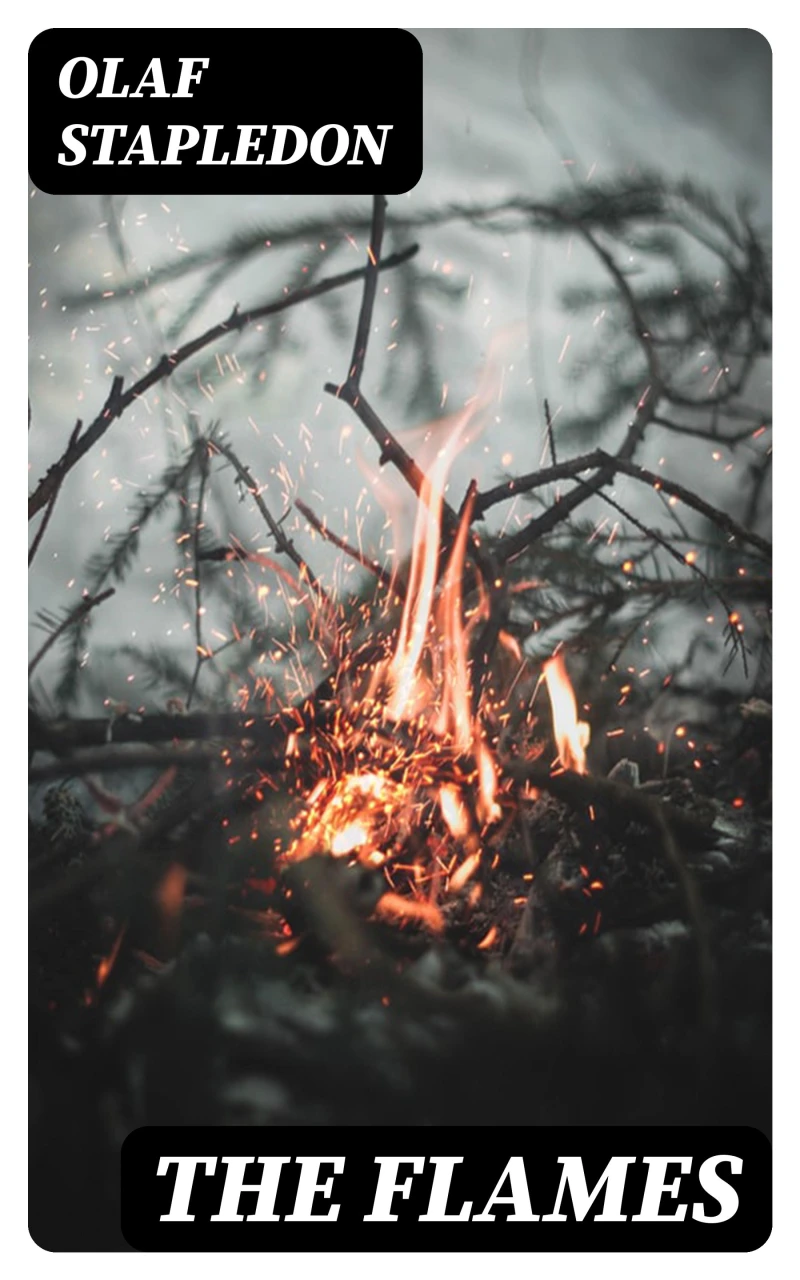Portada: The Flames