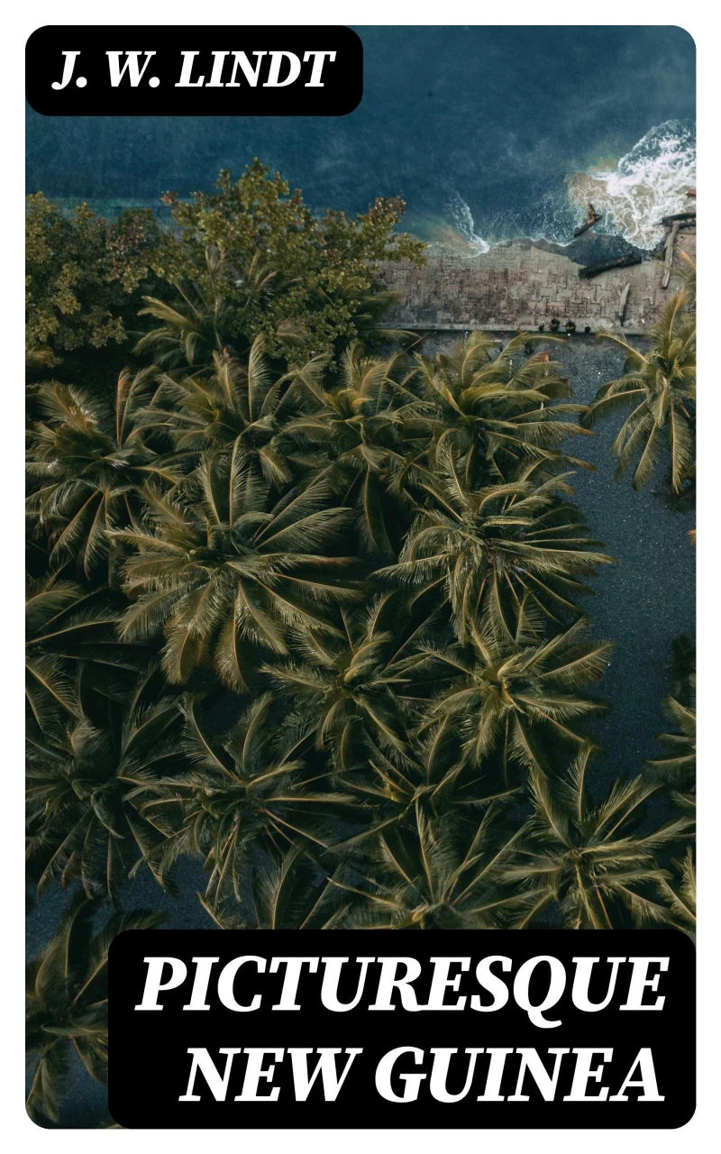 Portada: Picturesque New Guinea