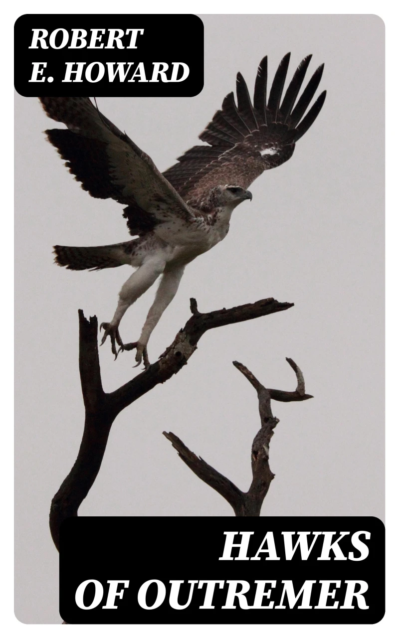 Portada: Hawks of Outremer