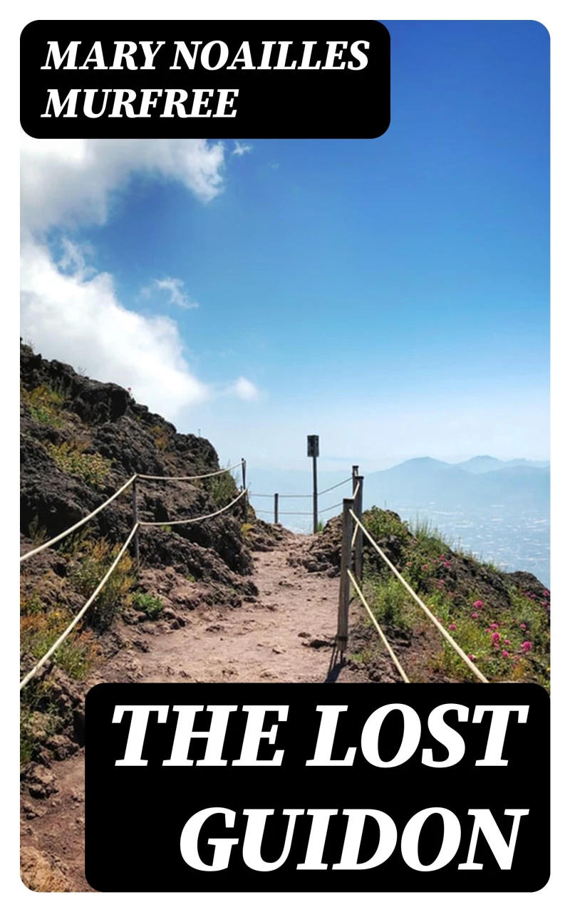 Portada: The Lost Guidon